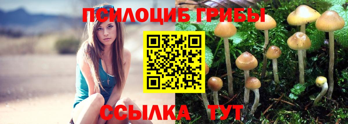 Псилоцибиновые грибы ЛСД Грозный